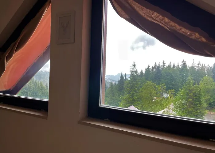 Апартаменты Private Laplandia 77 Пампорово